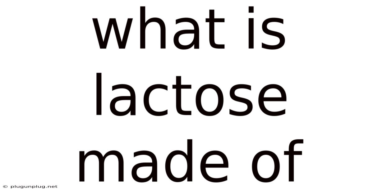 What Is Lactose Made Of