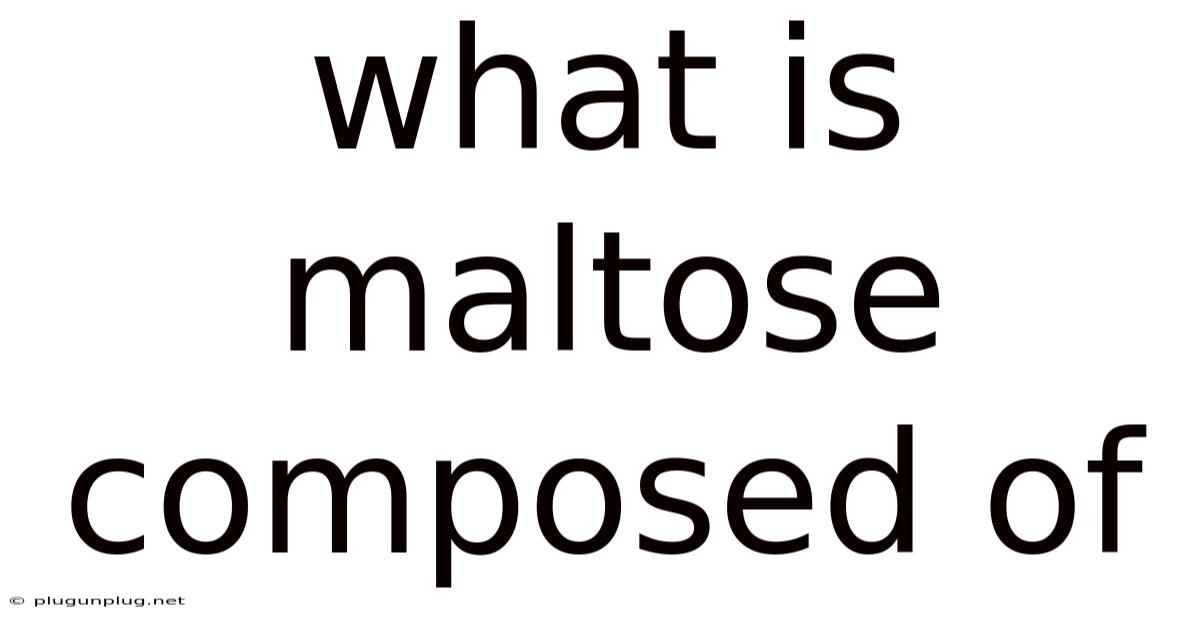 What Is Maltose Composed Of