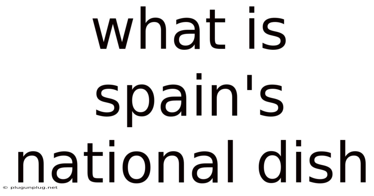 What Is Spain's National Dish