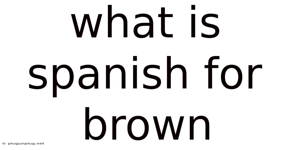 What Is Spanish For Brown
