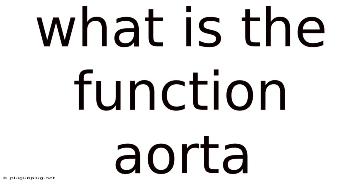 What Is The Function Aorta