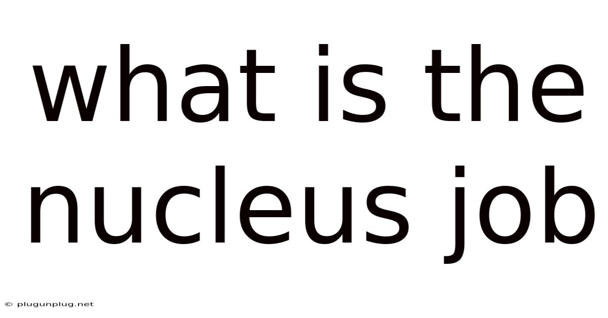 What Is The Nucleus Job