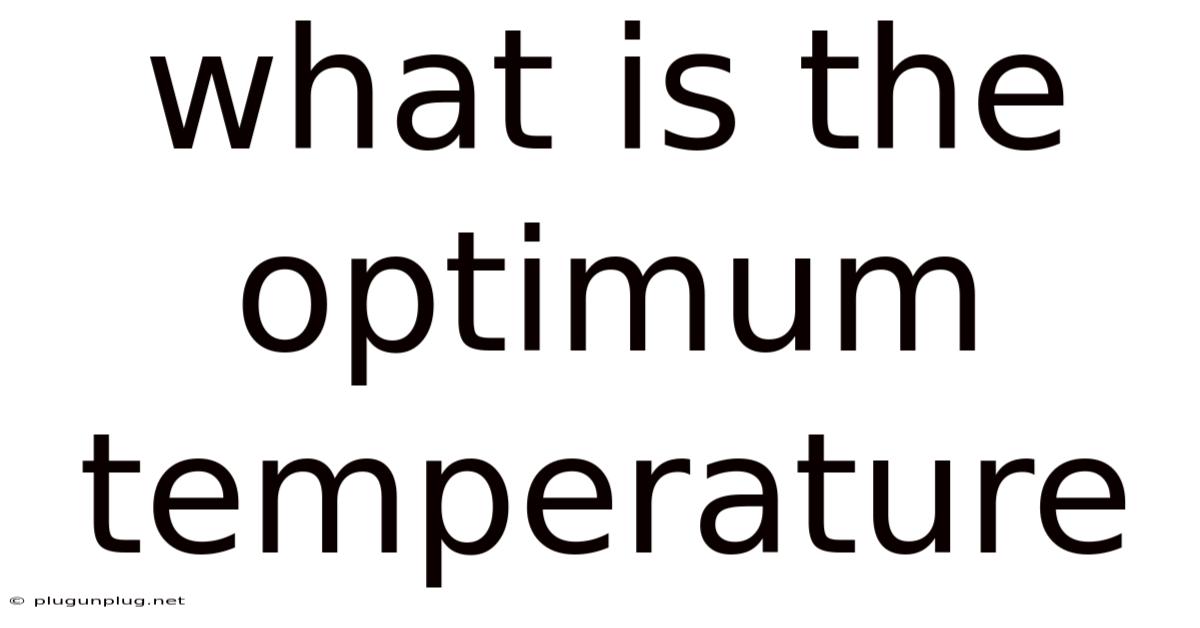 What Is The Optimum Temperature