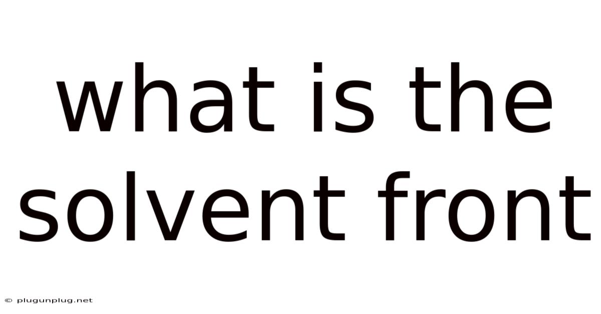 What Is The Solvent Front