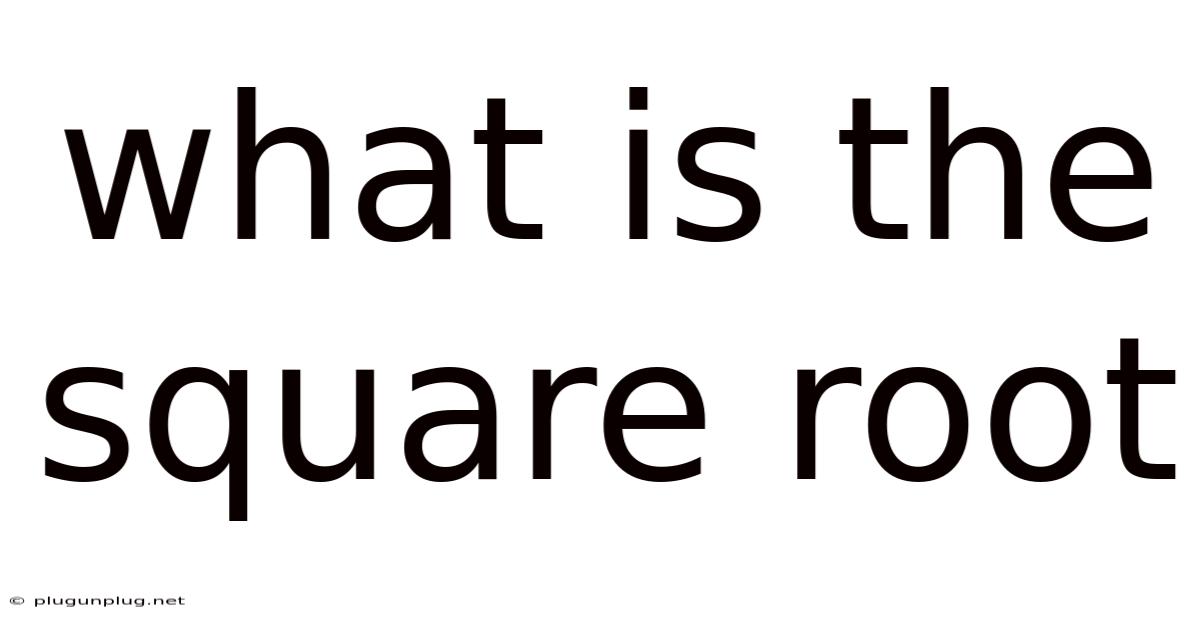 What Is The Square Root