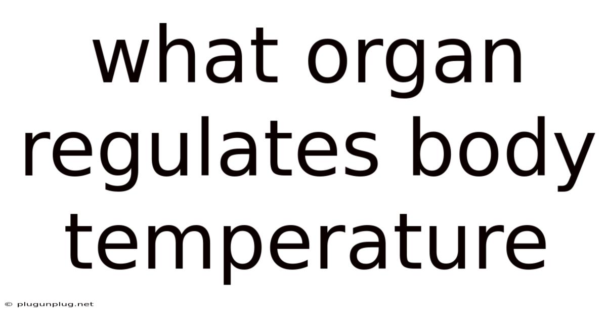 What Organ Regulates Body Temperature