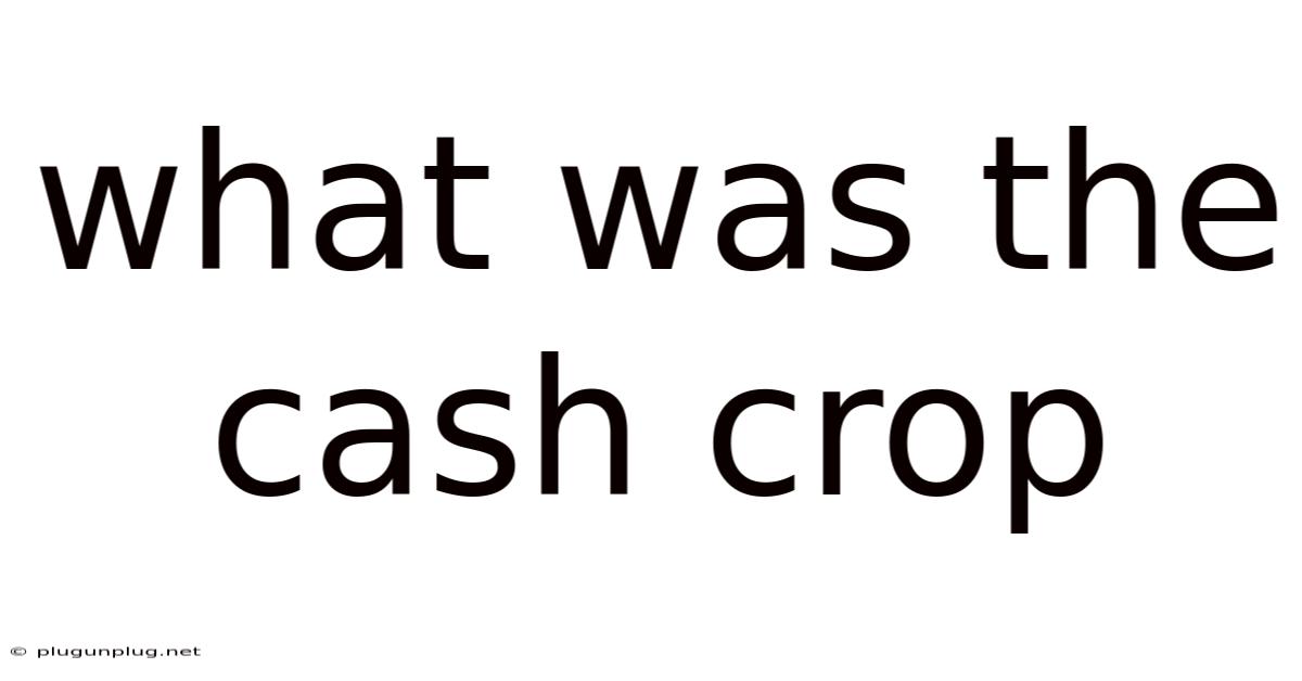 What Was The Cash Crop