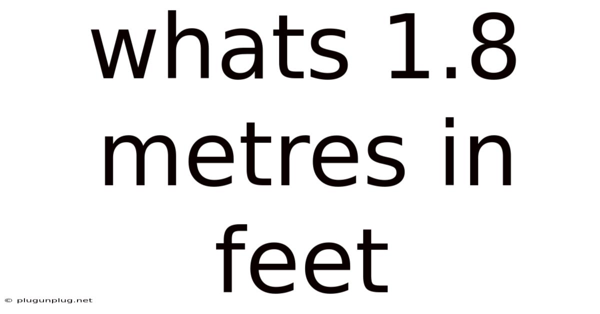 Whats 1.8 Metres In Feet