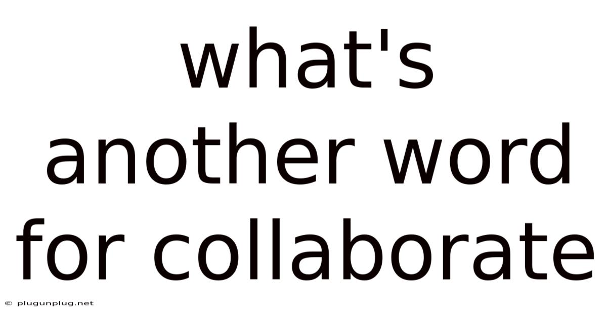 What's Another Word For Collaborate