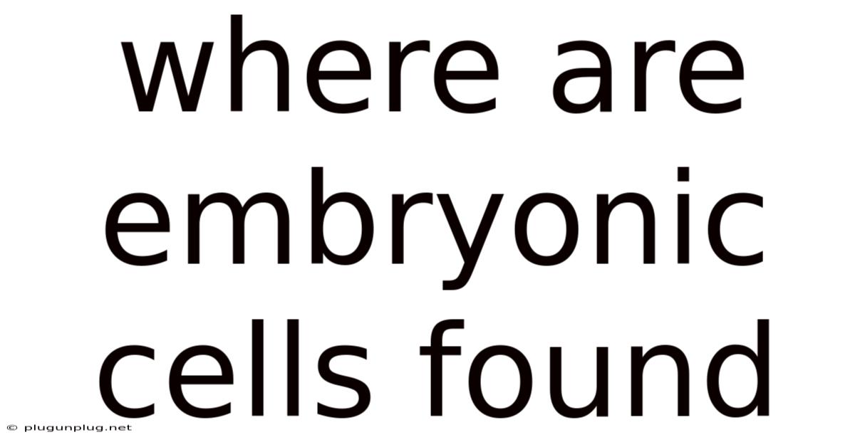Where Are Embryonic Cells Found