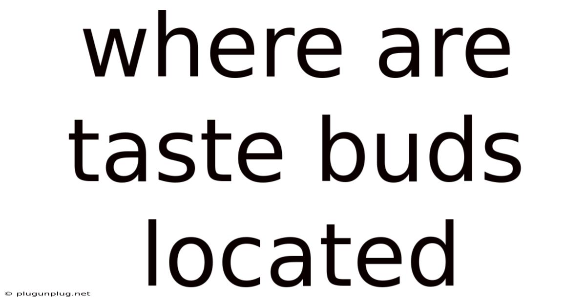 Where Are Taste Buds Located