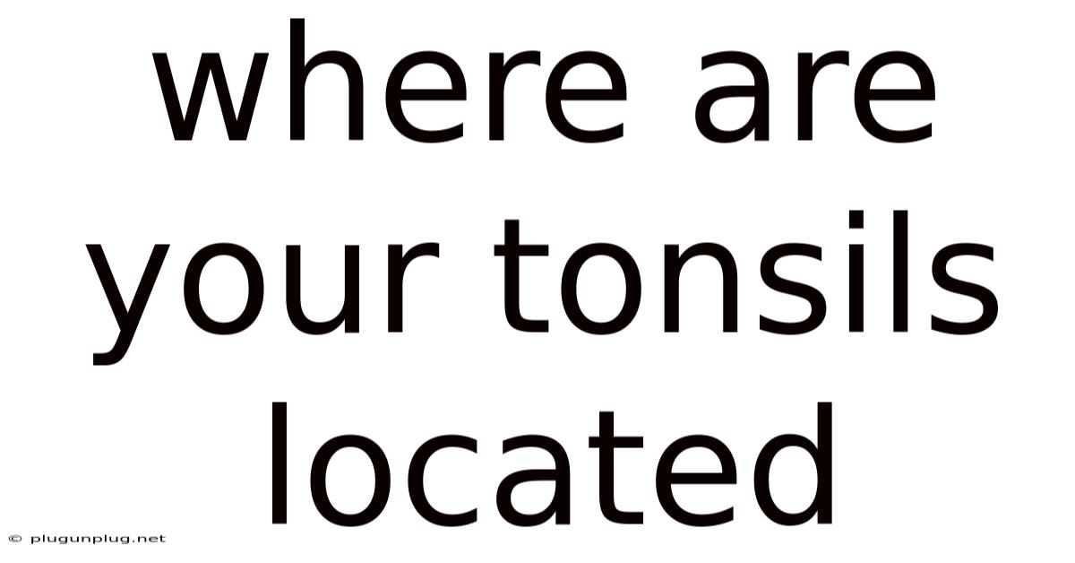 Where Are Your Tonsils Located