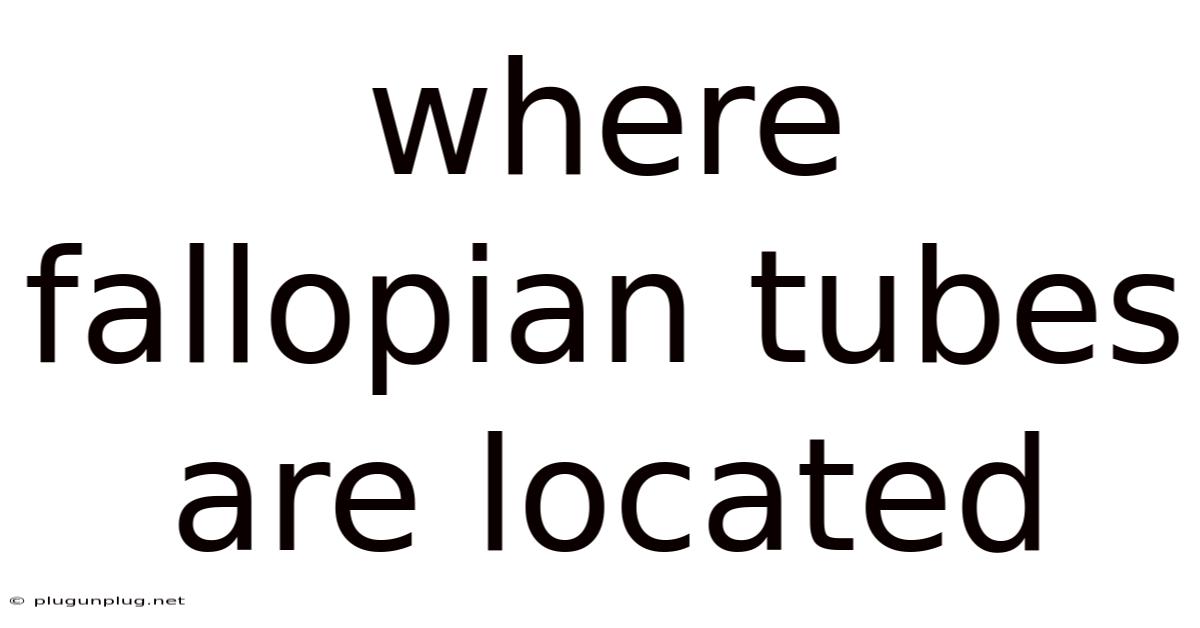 Where Fallopian Tubes Are Located