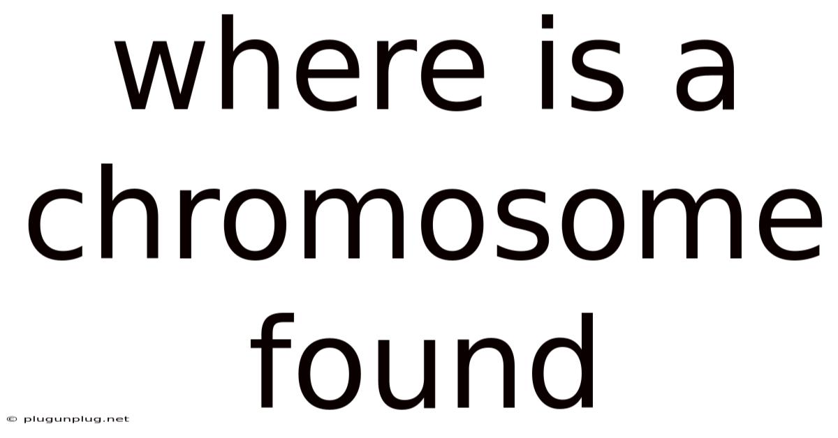 Where Is A Chromosome Found