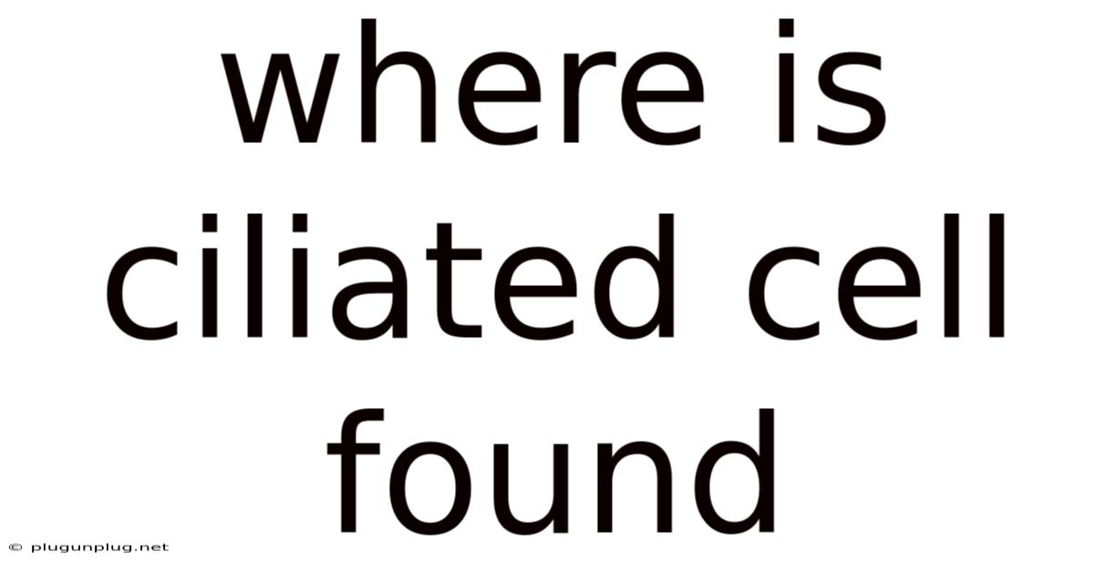 Where Is Ciliated Cell Found