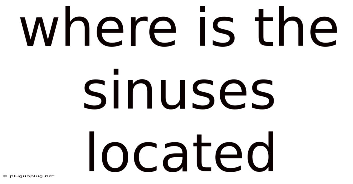 Where Is The Sinuses Located