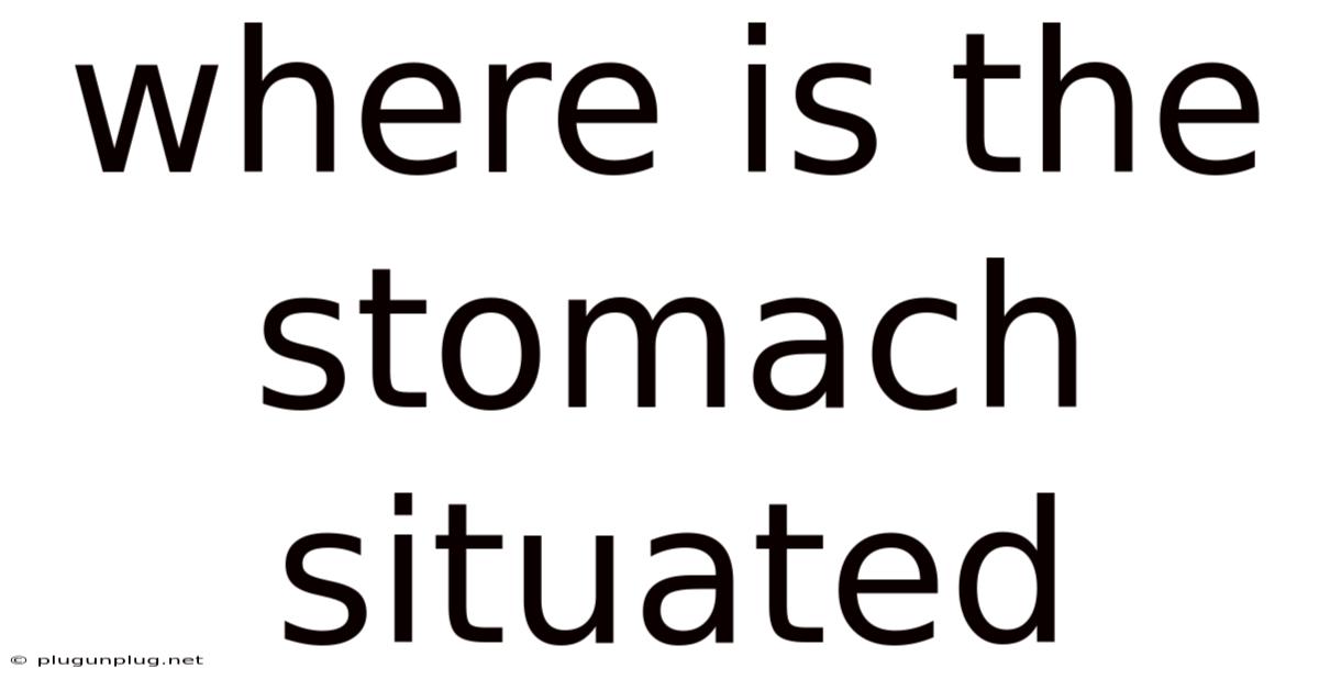 Where Is The Stomach Situated