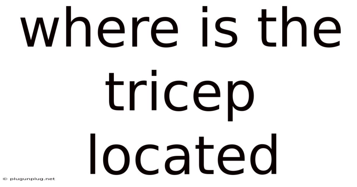 Where Is The Tricep Located