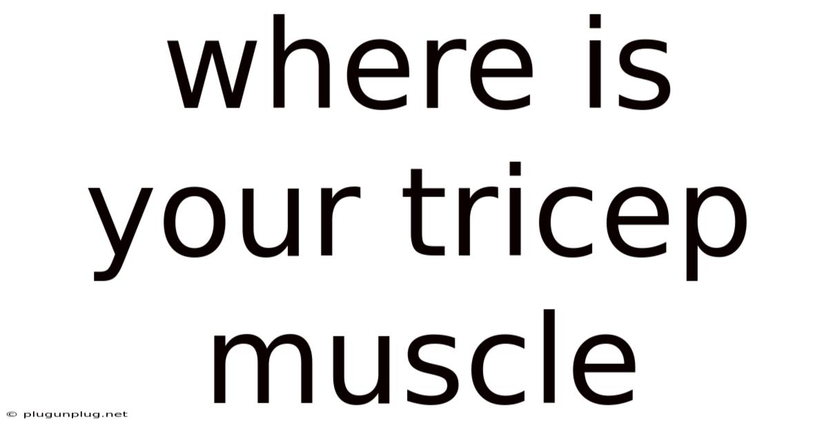 Where Is Your Tricep Muscle