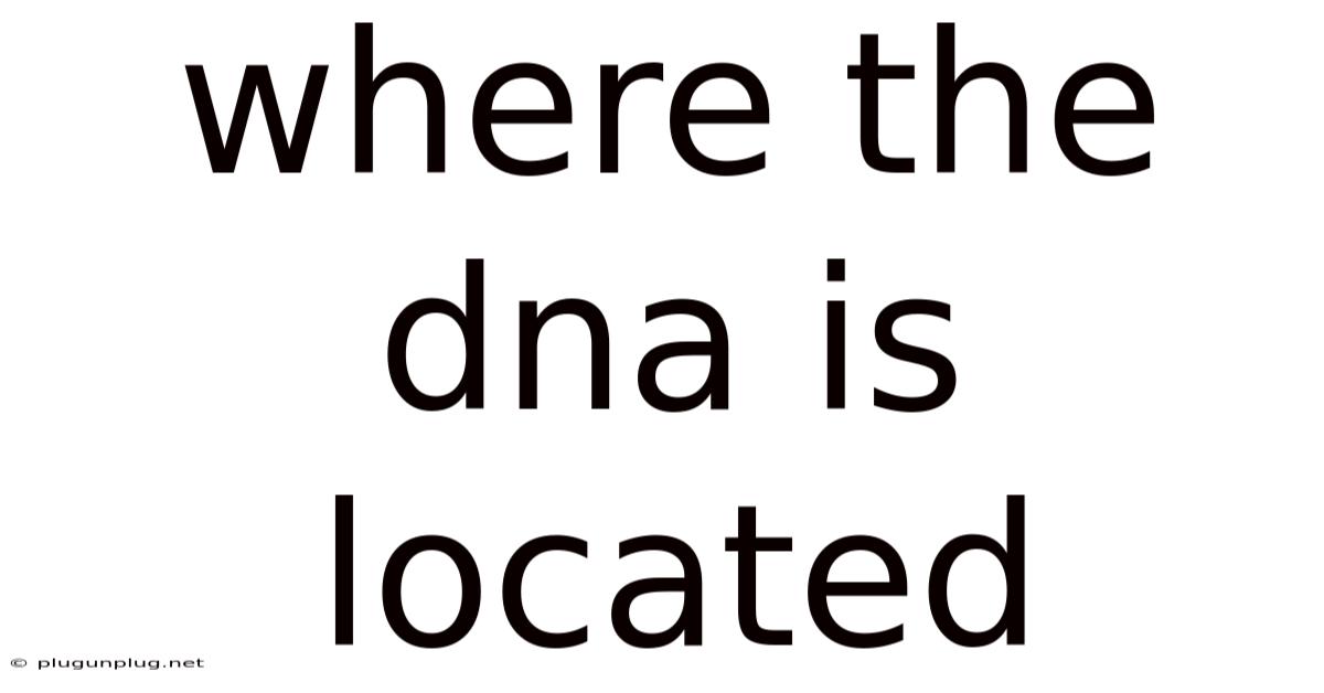 Where The Dna Is Located