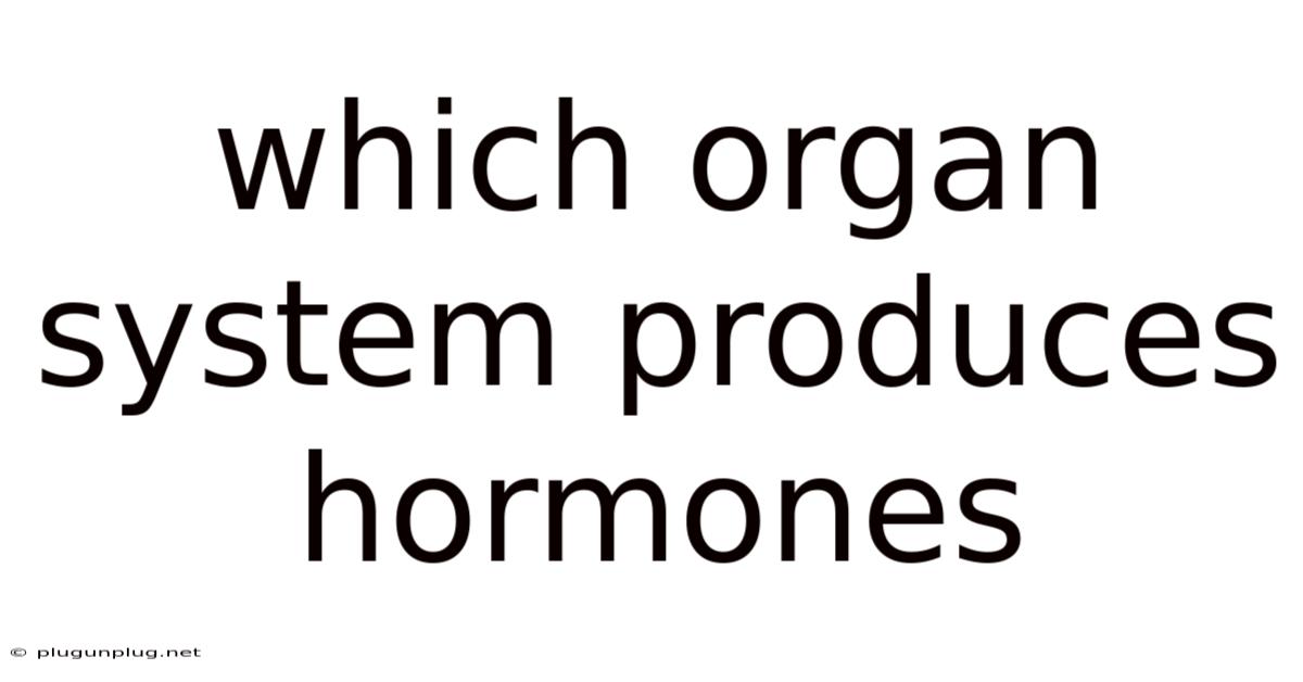 Which Organ System Produces Hormones
