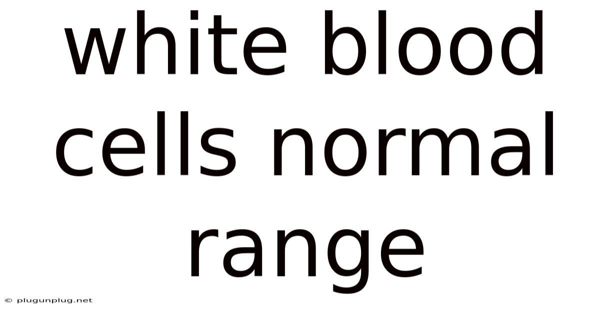 White Blood Cells Normal Range