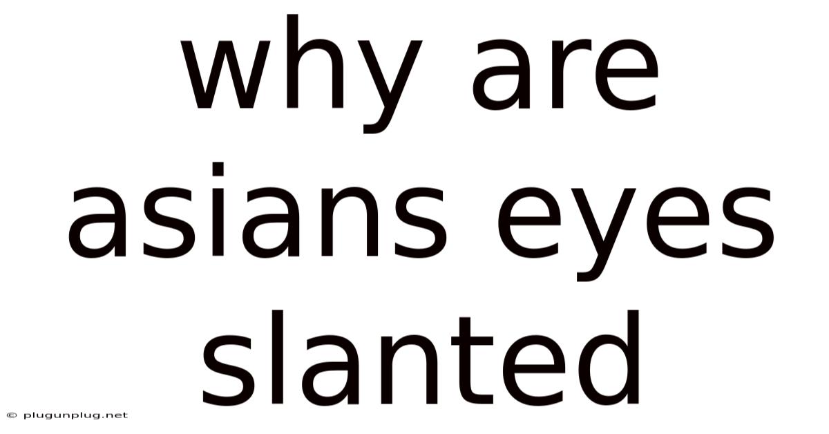 Why Are Asians Eyes Slanted