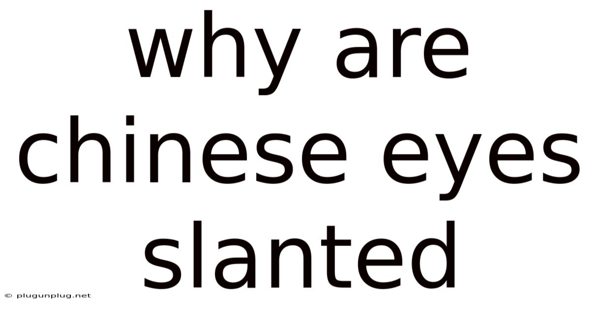 Why Are Chinese Eyes Slanted