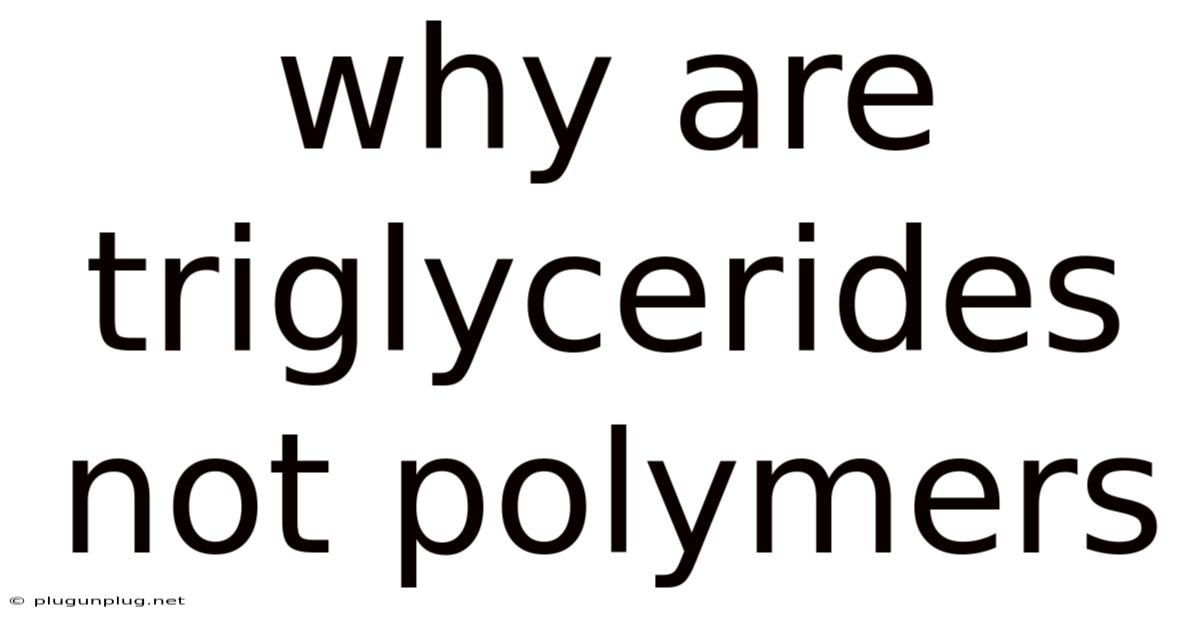 Why Are Triglycerides Not Polymers