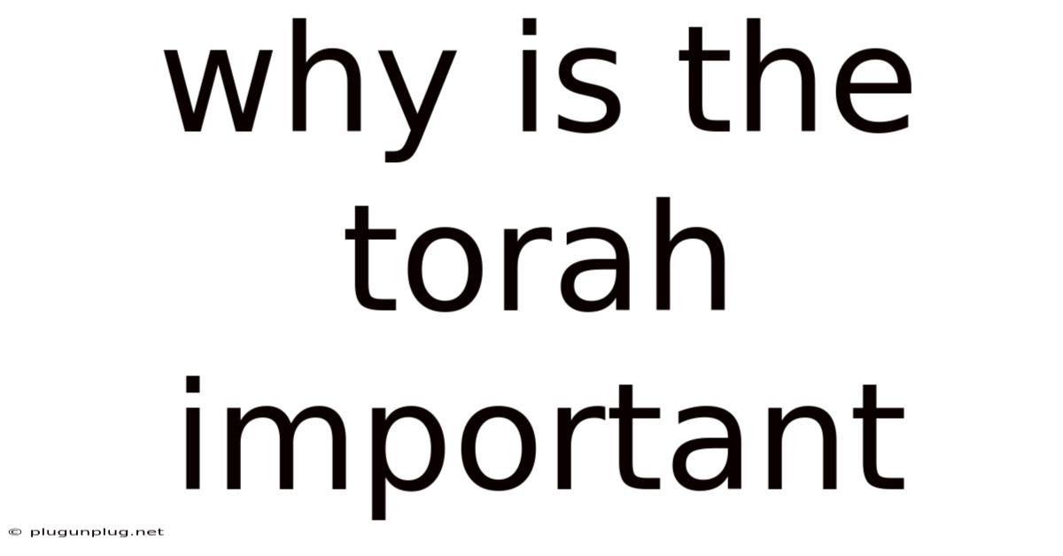 Why Is The Torah Important
