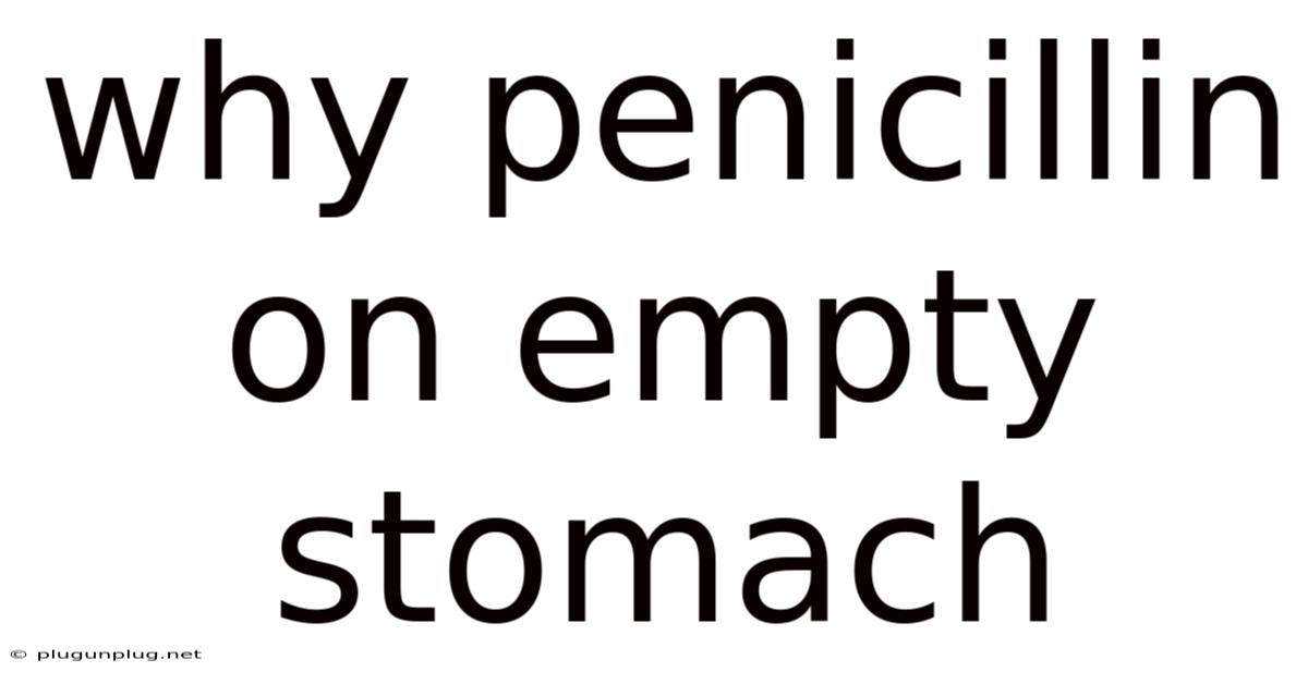 Why Penicillin On Empty Stomach