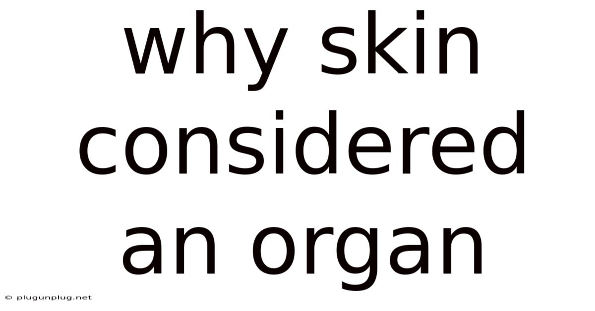 Why Skin Considered An Organ
