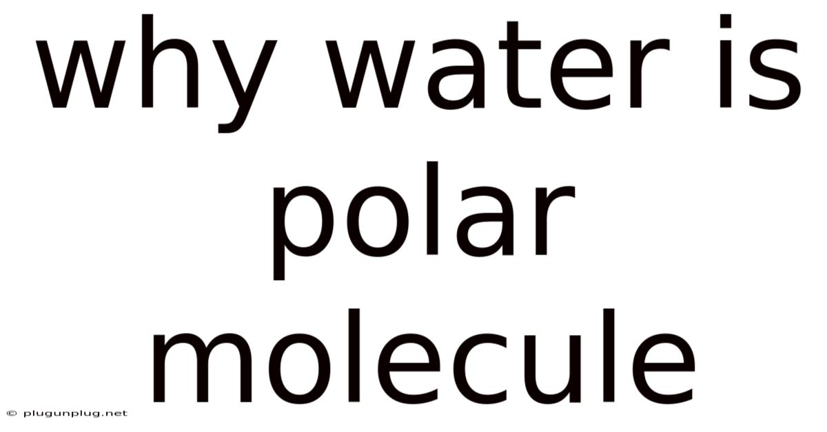Why Water Is Polar Molecule