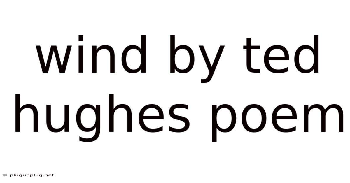 Wind By Ted Hughes Poem