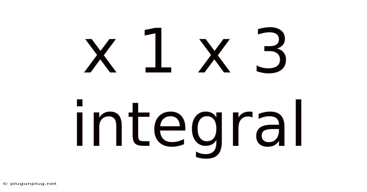 X 1 X 3 Integral