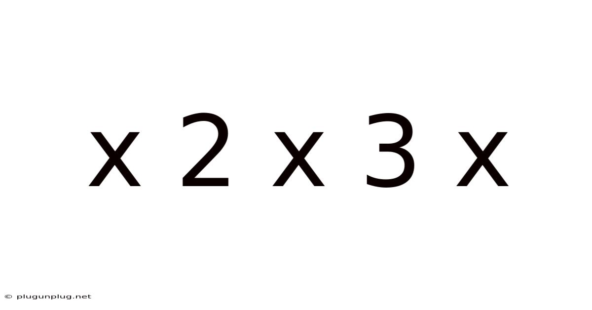 X 2 X 3 X