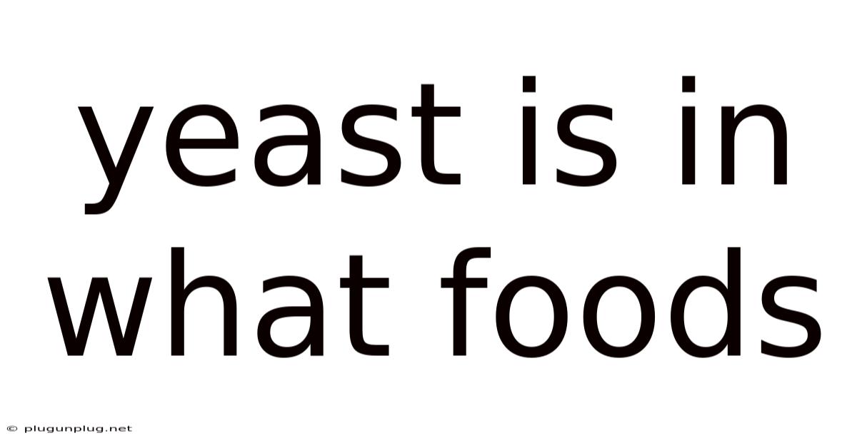 Yeast Is In What Foods